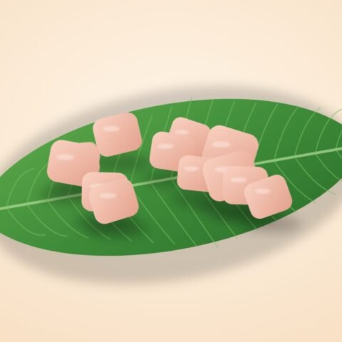 চিকেন বোনলেস