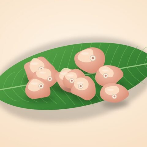 চিকেন কারি কাট