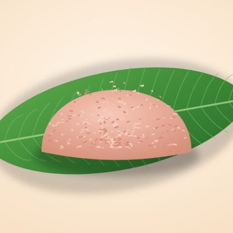চিকেন কিমা