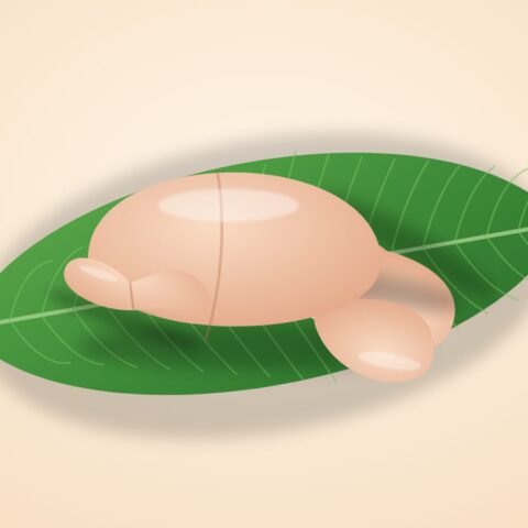গোটা মুরগি