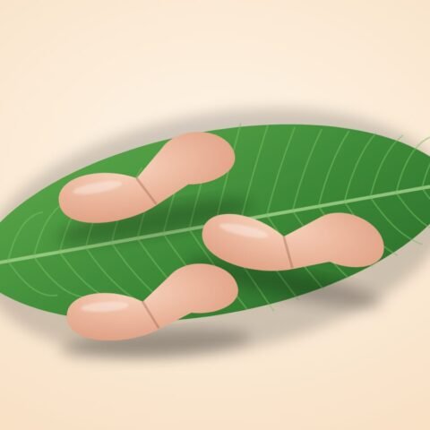 চিকেন উইংস