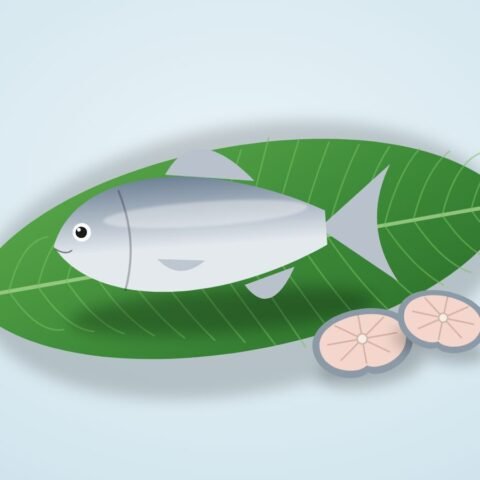 ইলিশ মাছ