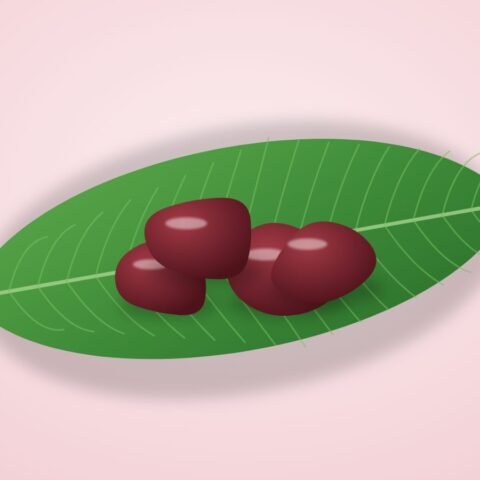 খাসির মেটে