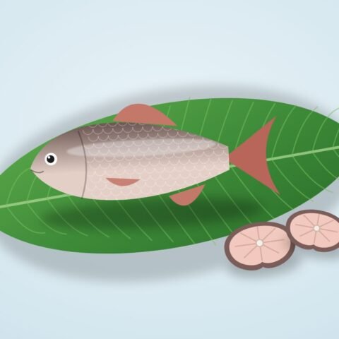 রুই মাছ